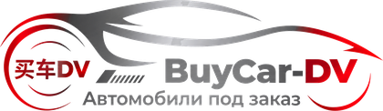 BUY CAR DV